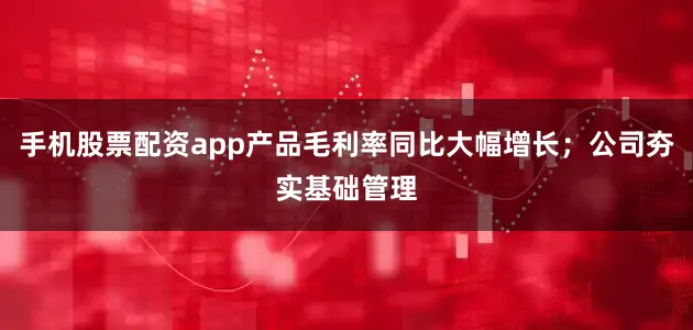 手机股票配资app产品毛利率同比大幅增长；公司夯实基础管理