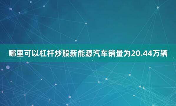 哪里可以杠杆炒股新能源汽车销量为20.44万辆