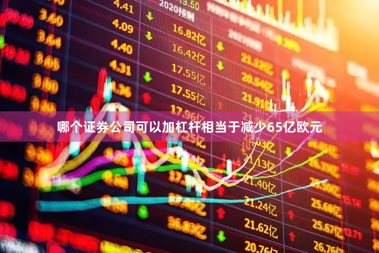 哪个证券公司可以加杠杆相当于减少65亿欧元