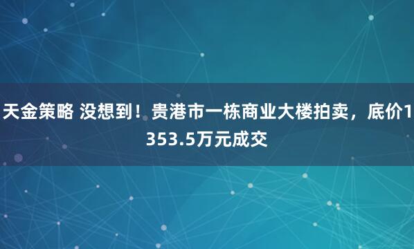 天金策略 没想到！贵港市一栋商业大楼拍卖，底价1353.5万元成交