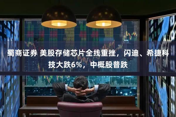 蜀商证券 美股存储芯片全线重挫，闪迪、希捷科技大跌6%，中概股普跌