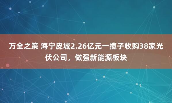 万全之策 海宁皮城2.26亿元一揽子收购38家光伏公司，做强新能源板块